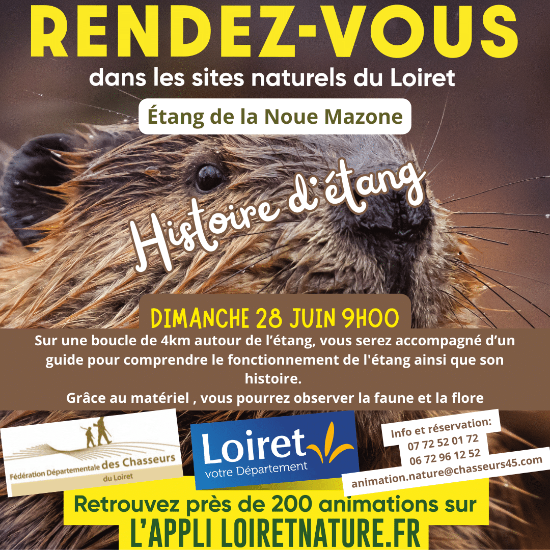 05 28 juin