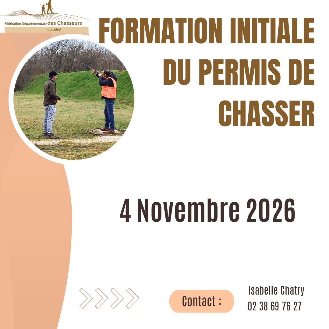 Permis 2026